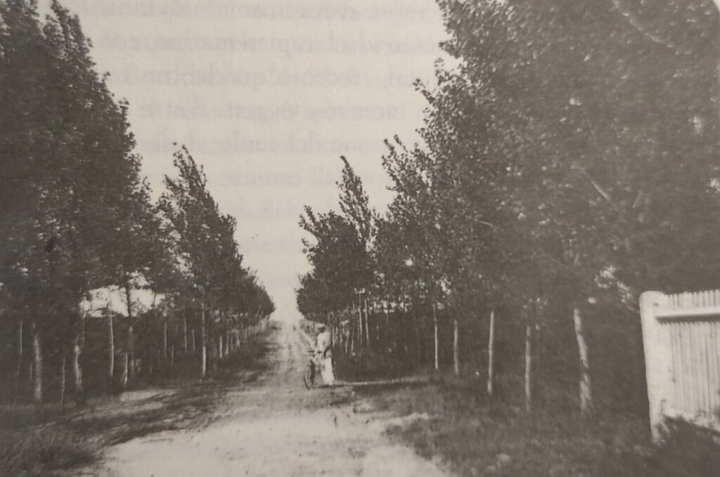 Via Ennio, 1913 circa - Collezione privata Bruno Belli.