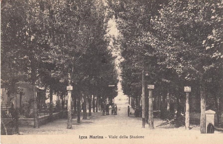 Via Ennio - Viale della Stazione - anni '20 circa. Sugli alberi i cartelli con la scritta: "Viale Vittorio Belli" e "Pineta Giardini"