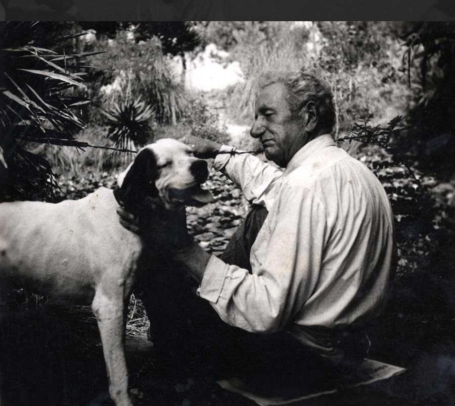 Vittorio Belli nella sua pineta