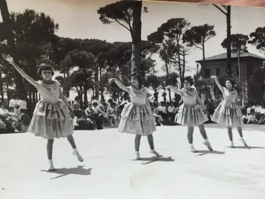 Saggio in pineta - 1959
