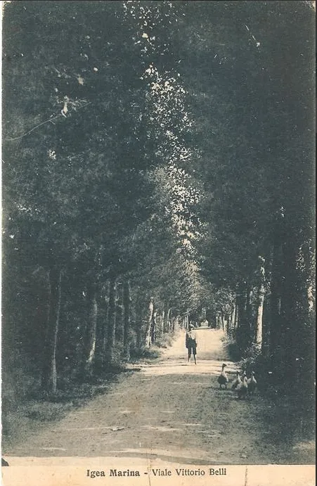 Igea Marina - viale Vittorio Belli